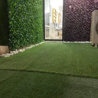 اجاره مژه وناخن|اجارهٔ دفتر کار، اتاق اداری، مطب|قم, صفاشهر|دیوار
