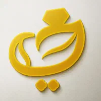 طراحی و چاپ لوگو کارت ویزیت و....