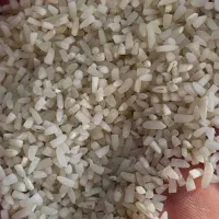 برنج نیم دانه