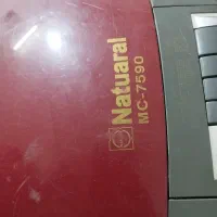 جارو برقی ناسیونال|جاروبرقی، جارو شارژی، بخارشو|زاهدان, |دیوار