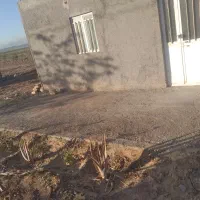 باغ پسته|فروش دفتر صنعتی، کشاورزی، تجاری|کویرات, |دیوار