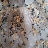 تور بچگانه|کفش و لباس بچه|یاسوج, |دیوار