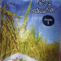 برنج ایرانی کامفیروزی