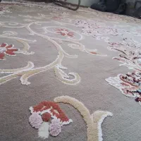 فرش ۹ متری|فرش|بندر انزلی, باغ زمانی|دیوار