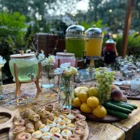 تشریفات و سالن تولد ، عقد ، نامزدی (ورودی رایگان)|خدمات پذیرایی، مراسم|تهران, حکیمیه|دیوار