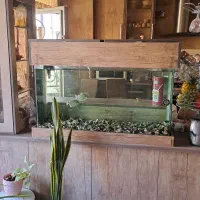 آکواریوم شیشه خم|ماهی|فردیس, شهرک راه آهن|دیوار