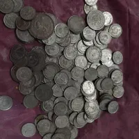 سکه شاهی به تعداد۱۷۳عدد
