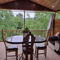 کلبه یک خوابه جنگلی بنفشه 2 - پرداخت قسطی