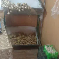 انبار یا میوه فروشی|اجارهٔ مغازه و غرفه|بندرعباس, |دیوار