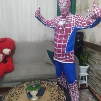 نمایش تولد و نوروز|خدمات پذیرایی، مراسم|تهران, الهیه|دیوار