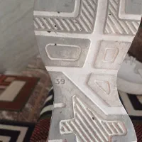 کفش در حدنو|کیف، کفش، کمربند|زنجان, |دیوار