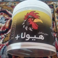 جوجه لاری - خروس لاری - مرغ لاری