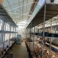 گلخانه پیشرفته|فروش دفتر صنعتی، کشاورزی، تجاری|فریمان, |دیوار