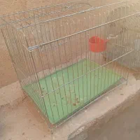 قفس|لوازم جانبی حیوانات|شیراز, دارالرحمه|دیوار