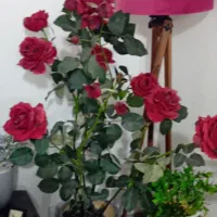 تعدادی گل مصنوعی