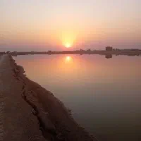 استخرپرورش-ماهی-چهارهکتاری