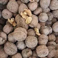 گردو و بادام تحویل درب منزل|خوردنی و آشامیدنی|شاهین‌شهر, شهرک گلدیس|دیوار