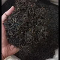 چای  چوبدار قهوه خانه ای