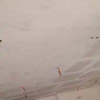 نقاشی ساختمان|خدمات پیشه و مهارت|گنبد کاووس, |دیوار