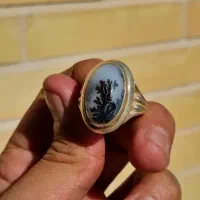 شجر تک درخت قائنات