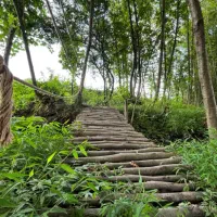 کلبه سویسی دو خوابه جکوزی دار ویو جنگلی  ماسال|اجارهٔ کوتاه‌مدت ویلا و باغ|رشت, منظریه|دیوار