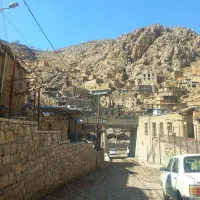 تور و گردشی