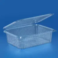انواع ظروف بسته بندی خرما