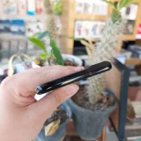 سامسونگ Galaxy S21 Plus 5G حافظه ۲۵۶ گیگ رم ۸|موبایل|یزد, |دیوار