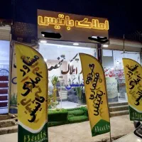 پیش-فروش-فاز3-املاک-باتیس