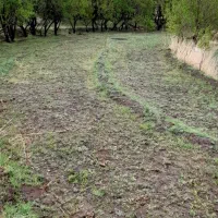 زمین بادام روستای شاره|فروش زمین و ملک کلنگی|سبزوار, امیریه|دیوار