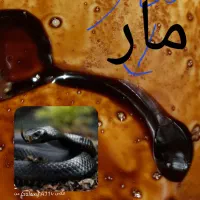 انجام فال و استخاره، تعرفه ویژه