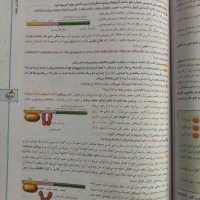 زیست دوازدهم|کتاب و مجله آموزشی|قم, هفت تیر|دیوار