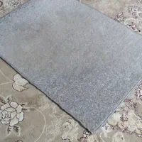 فرش اتاق خواب و آشپزخانه|فرش|مشهد, موعود|دیوار