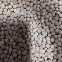 بذر سویا روغنی (گلبرگ) برا کاشت کشاورزی