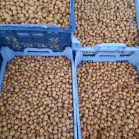 گوییژدرجه۱تازه بار....زالزالک خوشمزه|خوردنی و آشامیدنی|سقز, |دیوار