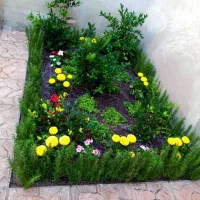 خدمات باغبانی ویژه عید نوروز 20درصدتخفیف