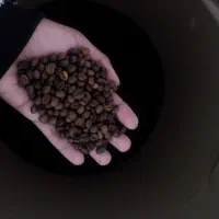 فروش انواع قهوه درجه یک|عمدهفروشی|نهاوند, |دیوار