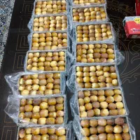 خرما زرد عسلی (بزمانی)|خوردنی و آشامیدنی|کرمان, |دیوار