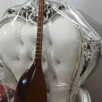 تنبور  کاسه ای|سازهای سنتی|نهاوند, |دیوار