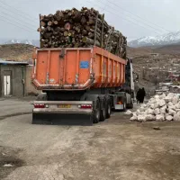 انواع چوب بالاترین قیمت