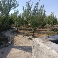 فروش باغ پر میوه|فروش خانه و ویلا|الیگودرز, |دیوار