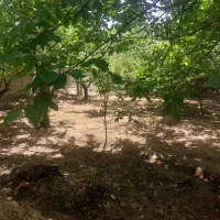 باغچه-300-متری-قیمت-مناسب