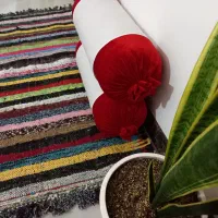 پادری محلی،سنتی،پلاس