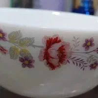 ظرف سرویس ارکوپال