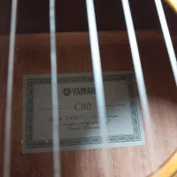 گیتار|گیتار، بیس، امپلیفایر|گنبد کاووس, |دیوار