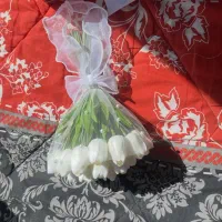 دسته گل عروس نو ۲۵ شاخه لاله خارجی