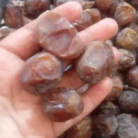 خرما درشت درجه 1