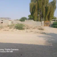 اجاره زمین ایسین|اجارهٔ دفتر صنعتی، کشاورزی، تجاری|بندرعباس, |دیوار