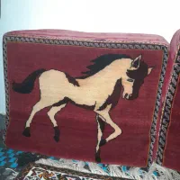 یک جفت پشتی دستبافت|پشتی|شیراز, داریون|دیوار