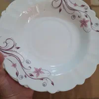 سرویس25پارچه آپال گرد|ظروف سرو و پذیرایی|رشت, یخسازی|دیوار